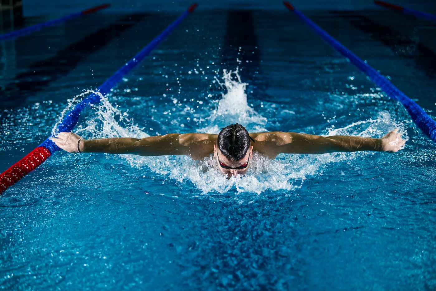 A swimmer training in a pool lane.